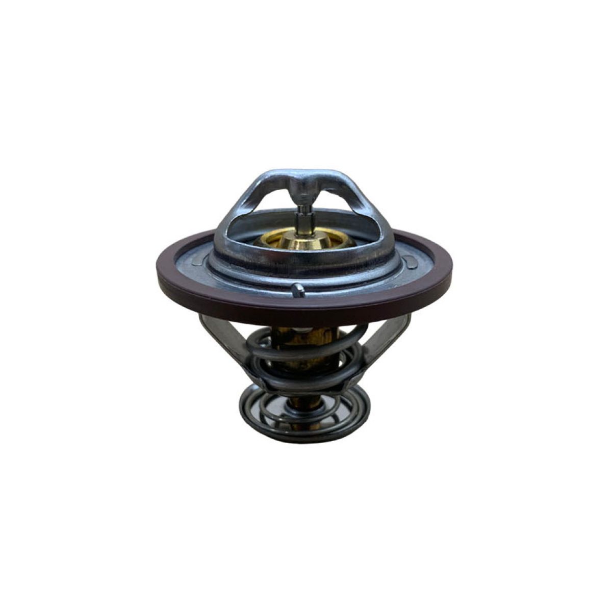 1000575996-01-scaled