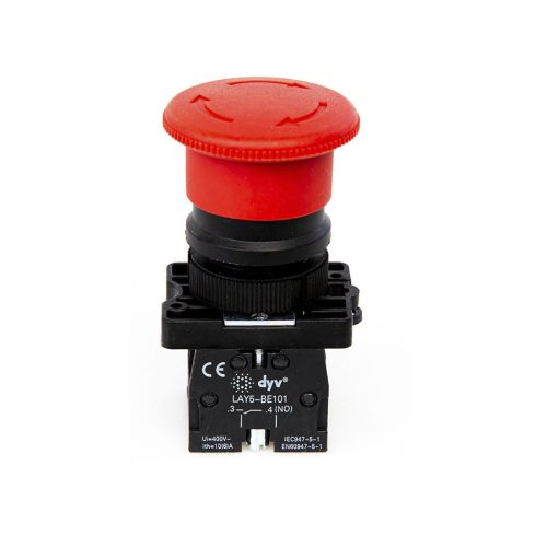 LAY5-ES545-01-scaled